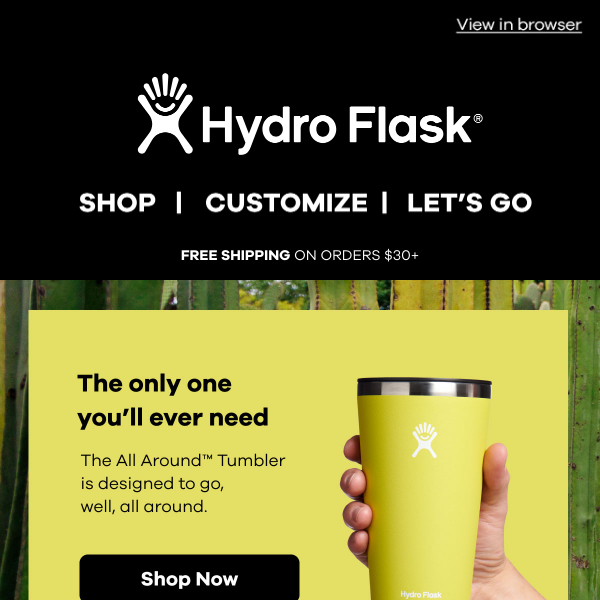Hydro Flask 22 oz. Elevate Straw Lid Tumbler