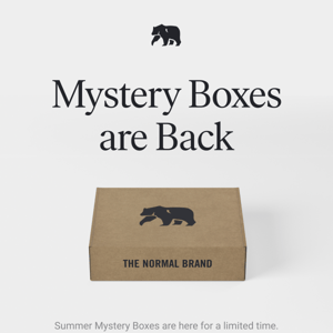 The BEST Summer Mystery Box Yet 📦