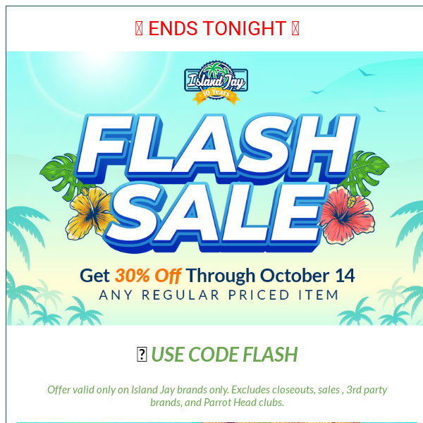 💥 30% Off Flash Sale Ends Tonight 💥