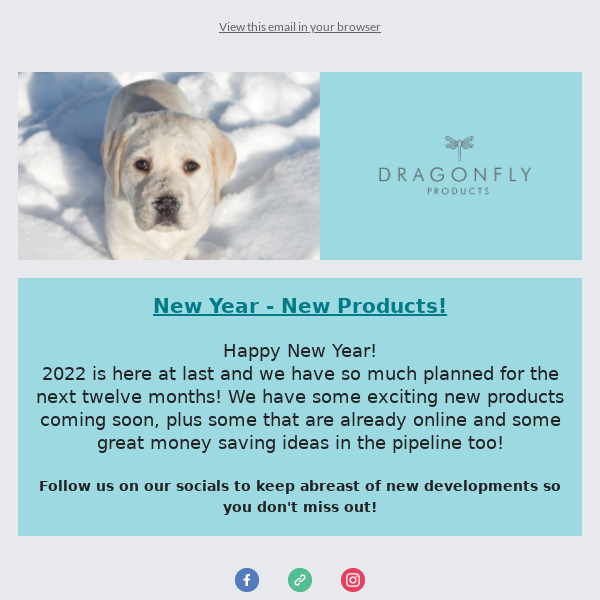 Exciting Times! New Year, New Products!