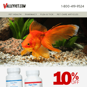 🐠 antibiotics: 10% OFF