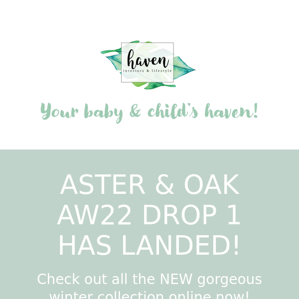 ASTER & OAK AW22 DROP 1 IS HERE!