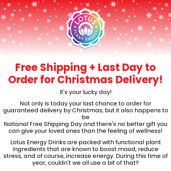 Last chance to order for Christmas delivery!
