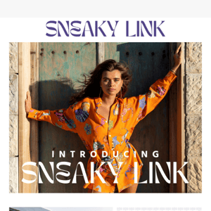 Sneaky Link Has Landed 🐍 🚀