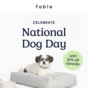 20% Off for National Dog Day 🐕