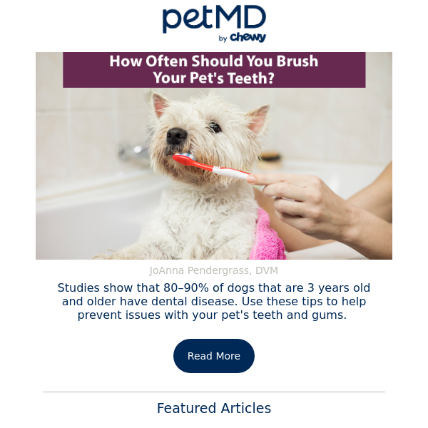How Often Should You Brush Your Pet's Teeth?