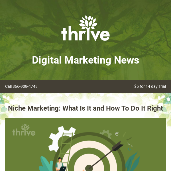 Niche Marketing: What Is It and How To Do It Right