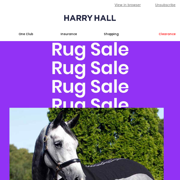 Horse Rugs from £19.95 ❄️ Winter Sale