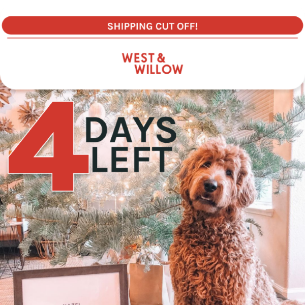 4 days left for standard shipping! 🎅🏾✨
