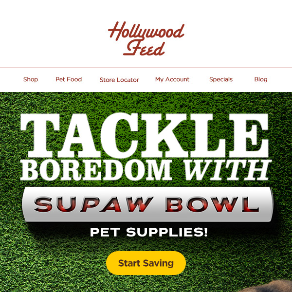 Tackle Boredom with SuPAW Bowl Pet Supplies! 🏈🏆