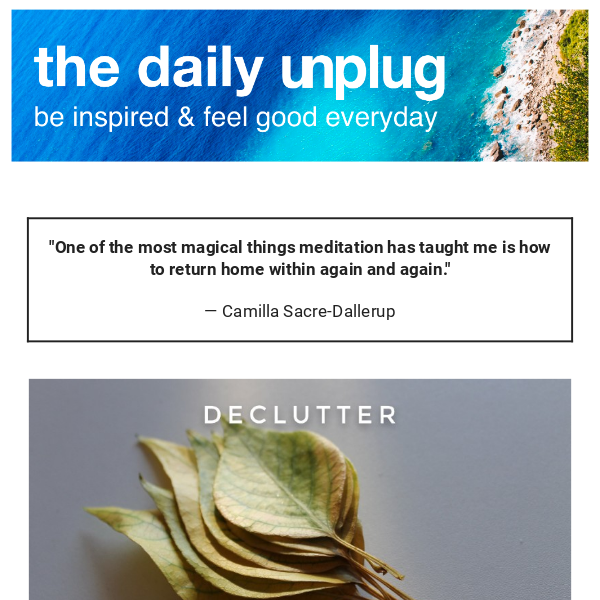 ☀️The Daily Unplug: Rise & Shine