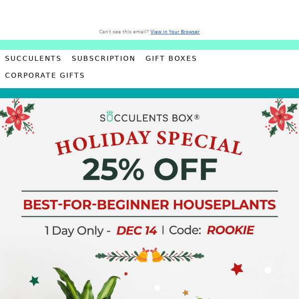 Perfect plants for beginners - 25% off now!