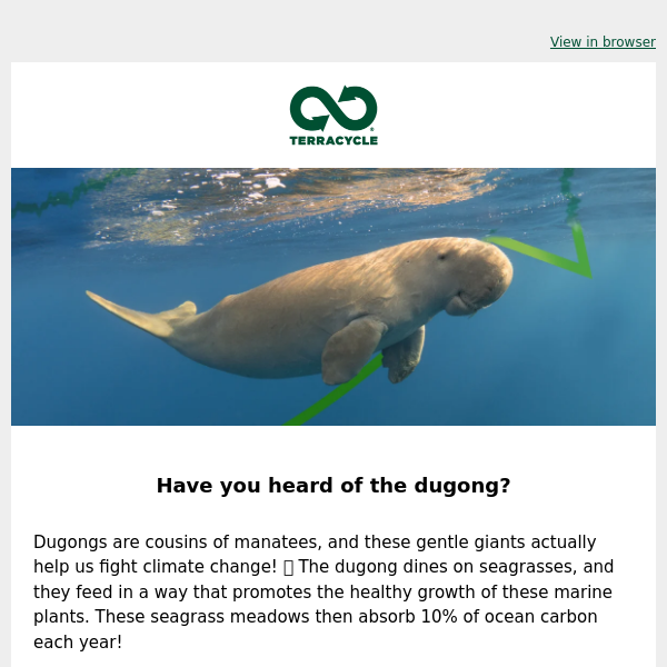 The dugongs are doing their part to protect the planet—now it’s your turn.