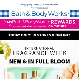 $5.95 today only! curate a bouquet 💐 this International Fragrance Week!