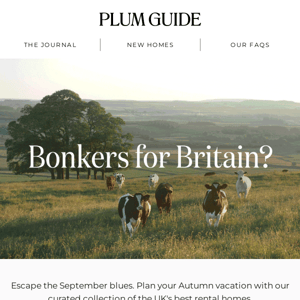 Bonkers for Britain?