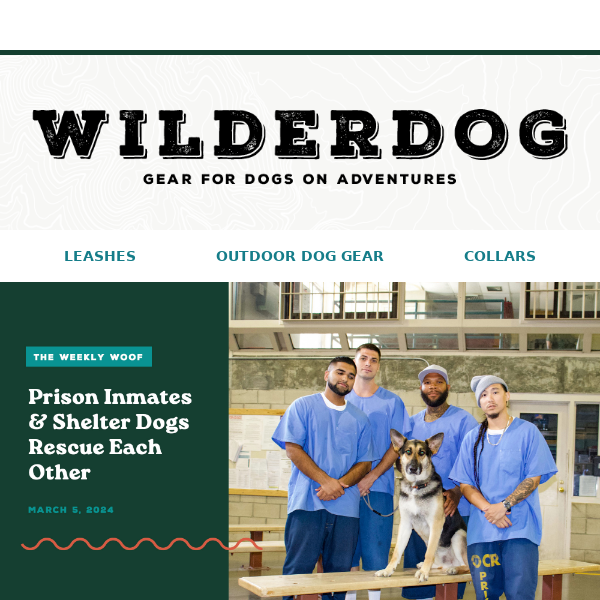 Inmates & Shelter Dogs Rescue Each Other