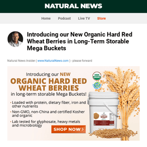 Introducing our New Organic Hard Red Wheat Berries in Long-Term Storable Mega Buckets