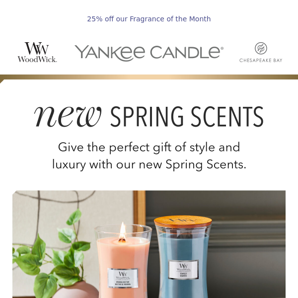 Find The Perfect Gift + 25% Off Vanilla Bean