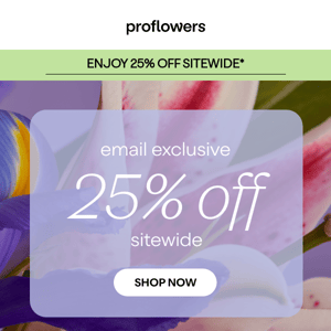 Sale Extended: Enjoy 25% off our Birthday Collection