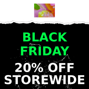 BLACK FRIDAY SALE!