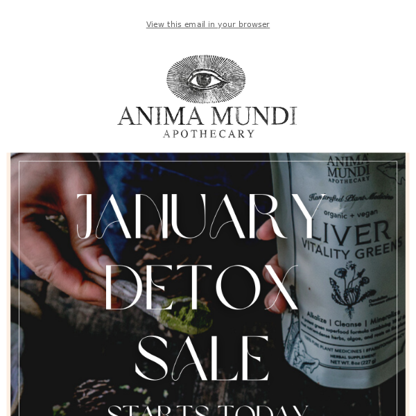 Herbs for Gentle Detox | 20% Detox Sale 🌾🍃