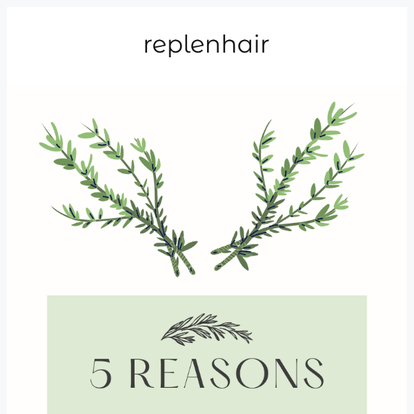 5 Compelling Reasons Your Hair Need Rosemary! 😍