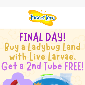 FREE Tube of Ladybug Larvae!