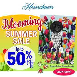 🌸 Summer Crafting is blooming with up to 50% off.