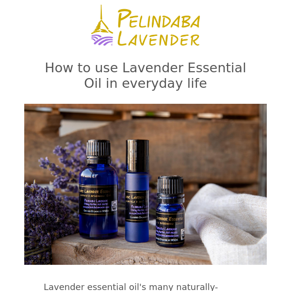 All the uses of Lavender Essential Oil - body, home, pet and more