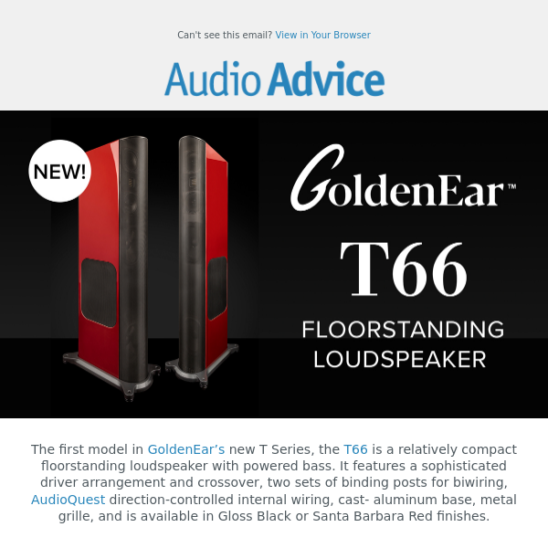 👀NEW GoldenEar T66 Tower Speaker Review!