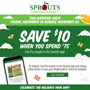 💵 Save $10 this weekend only!