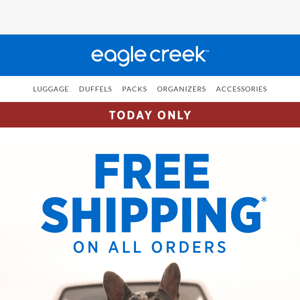 FREE SHIPPING – TODAY ONLY!