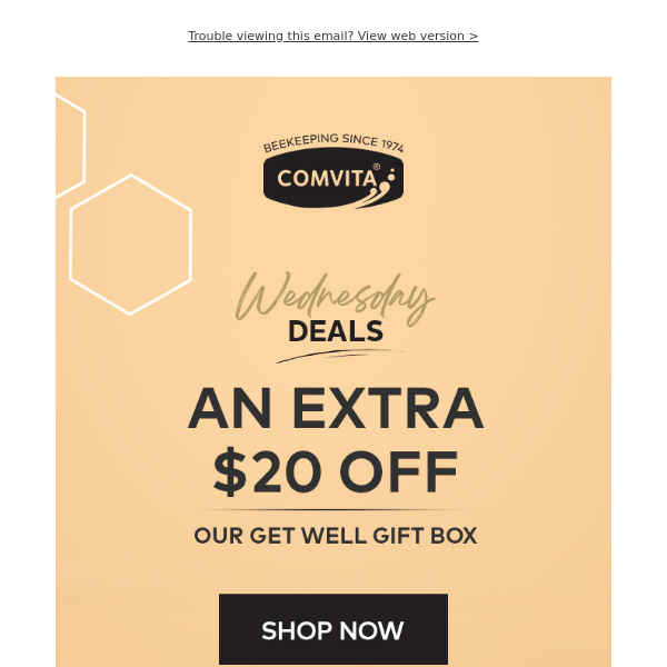 Get An Extra $20 Off Our Get Well Gift Box
