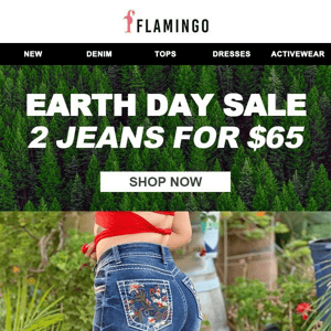 Celebrate Earth Day by buying two jeans for $65🌳