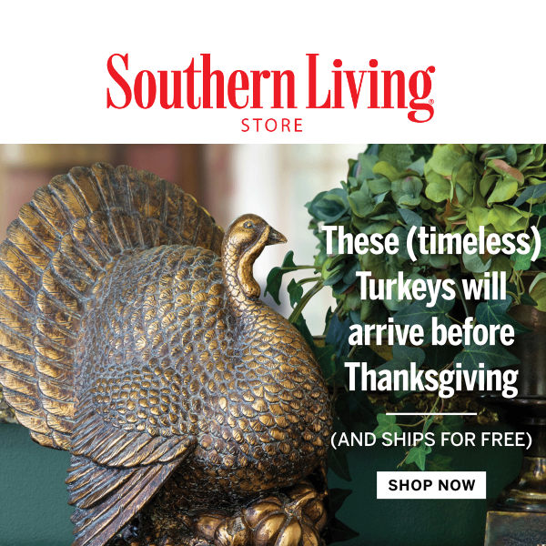 Show stopping Turkeys for your Thanksgiving Table - Order Today in Time!