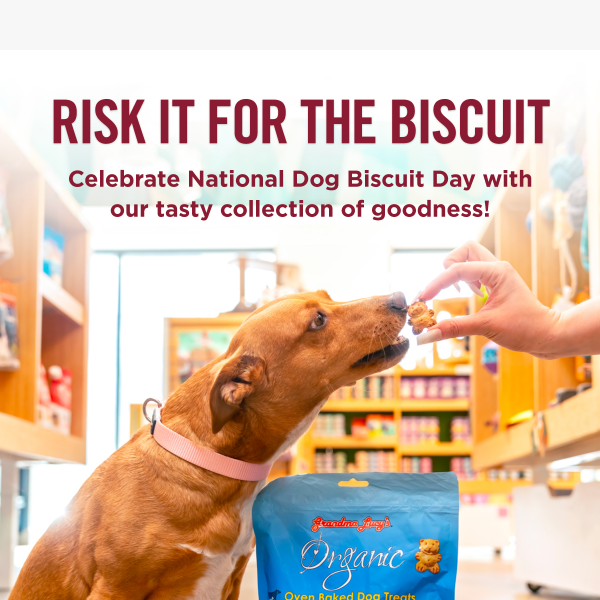 Dogs + Biscuits = A Day To Celebrate 🎉