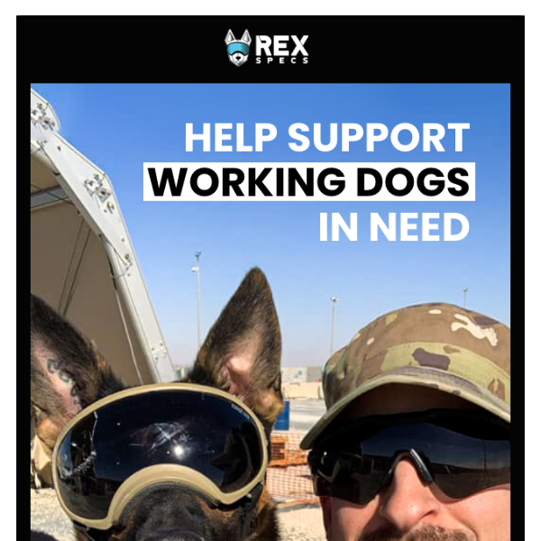 Support Working Dogs in Need
