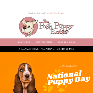 Happy National Puppy Day - Get Supplies Now!