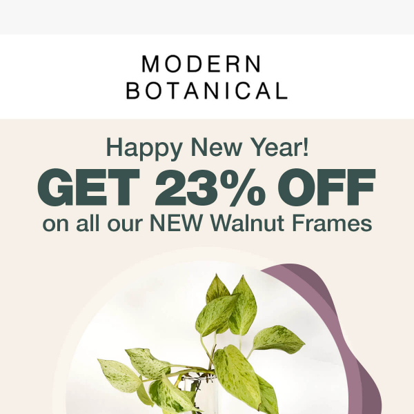 Happy new year! (+23% off)