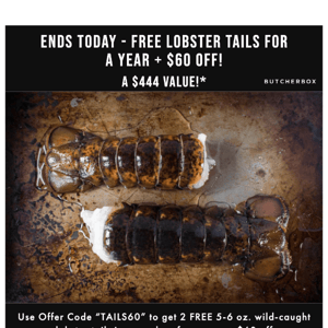Get 2 FREE wild-caught LOBSTER TAILS for a year + $60 OFF! 🦞🦞