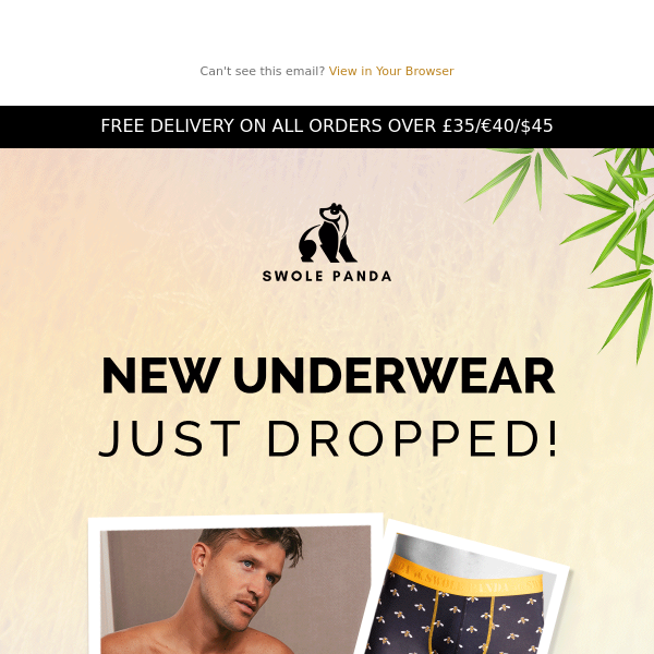 NEW UNDERWEAR HAS LANDED!