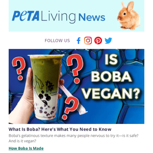 Is Boba Vegan? See What It’s Actually Made From! 