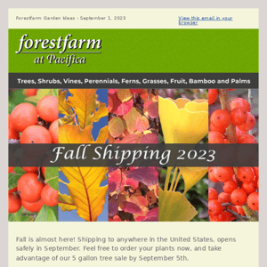 🍁Fall Shipping Begins in September!