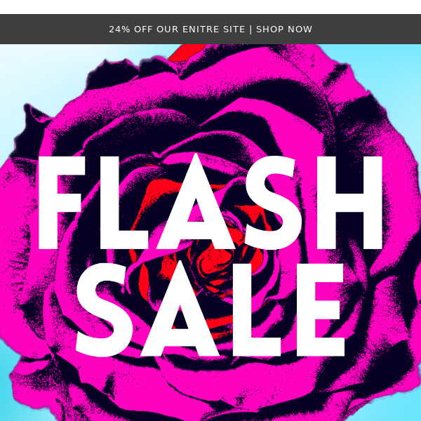 Flash Sale Alert! Save 24% on Petal!