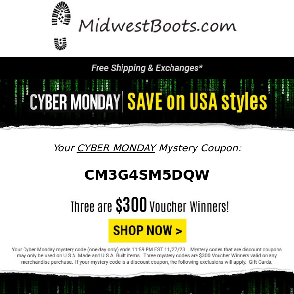 TODAY ONLY!  Cyber Mystery Savings + Chance for $300 Voucher!