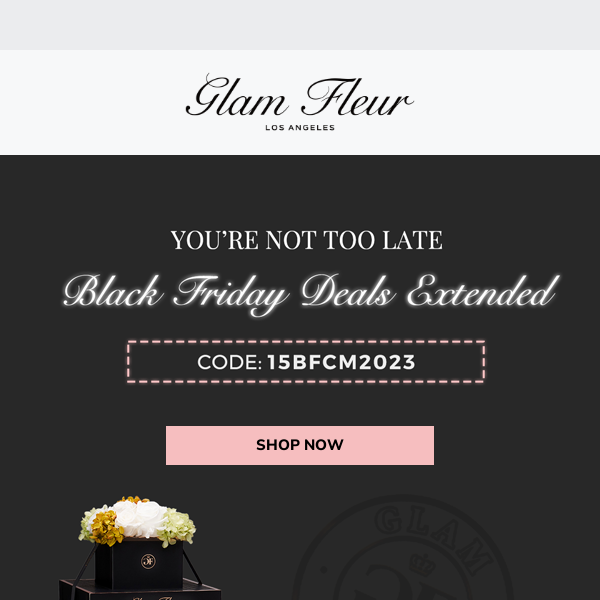Per your demand: Black Friday EXTENDED!