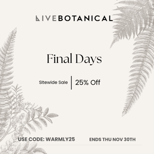 Final Days of the Winter Sale 25% off sitewide