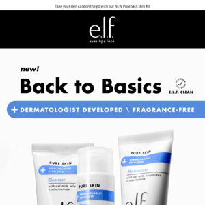 NEW Back to Basics Pure Skin Mini Kit!