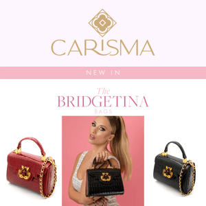 ✨NEW IN ✨The Bridgetina Bag 😍