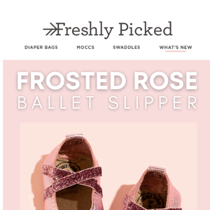 Say hello to - Frosted Rose Ballet Slipper 🌹